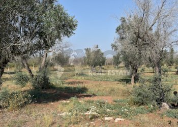 10-4000.jpg - Casa indipendente Via Bernardino Desa 14, Copertino - foto 10