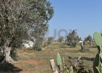 12-4000.jpg - Casa indipendente Via Bernardino Desa 14, Copertino - foto 13