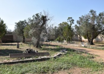 20-4000.jpg - Casa indipendente Via Bernardino Desa 14, Copertino - foto 18