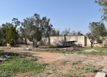 21-4000.jpg - Casa indipendente Via Bernardino Desa 14, Copertino - foto 19