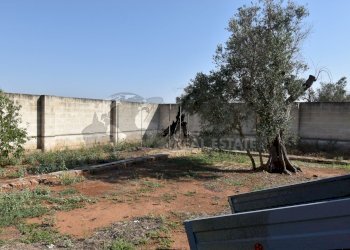 22-4000.jpg - Casa indipendente Via Bernardino Desa 14, Copertino - foto 21