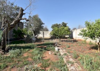 23-4000.jpg - Casa indipendente Via Bernardino Desa 14, Copertino - foto 22