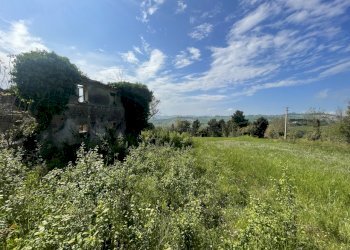 C2D2FF9A-6F39-4915-8920-D8B61D09983D.jpeg - Casale Frazione Poggio, Ancona - photo 5