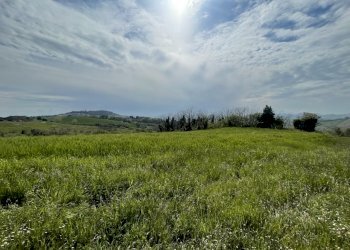 5BA890DF-EBF5-4A6E-A542-39E3FC4DAEFE.jpeg - Casale Frazione Poggio, Ancona - photo 10