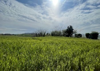F93D37DC-ECE0-4AD0-8BE0-D51DF5DDECF3.jpeg - Casale Frazione Poggio, Ancona - photo 11