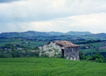 FOTO-panorama 01.jpg - Casale Frazione Poggio, Ancona - photo 13