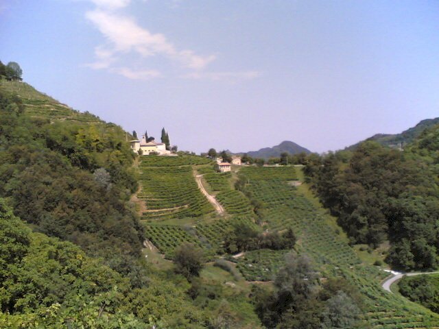 colline10.jpg - Terreno edificabile Via Lago 54, Sarzana - foto 2