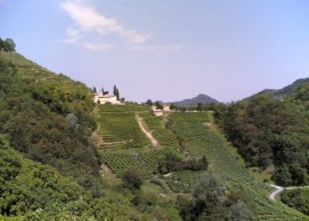 colline10.jpg - Terreno edificabile Via Lago 54, Sarzana - foto 2