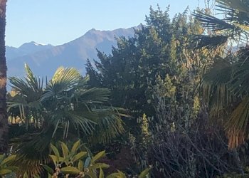 Altro Fossano - foto 7