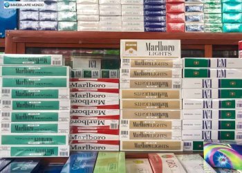 Commercial Activity Via del M, Termoli - photo 5