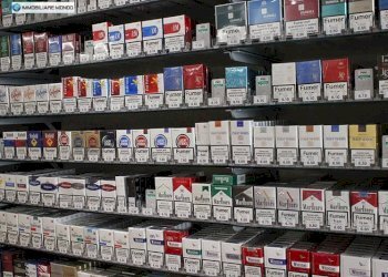 Commercial Activity Via del M, Termoli - photo 6