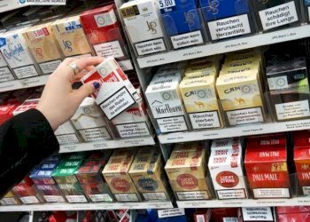 Commercial Activity Via del M, Termoli - photo 7