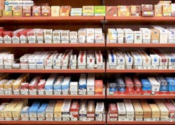 Commercial Activity Via del M, Termoli - photo 15