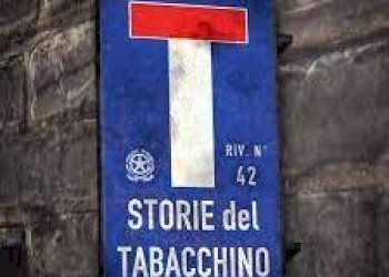 Commercial Activity Via del M, Termoli - photo 16