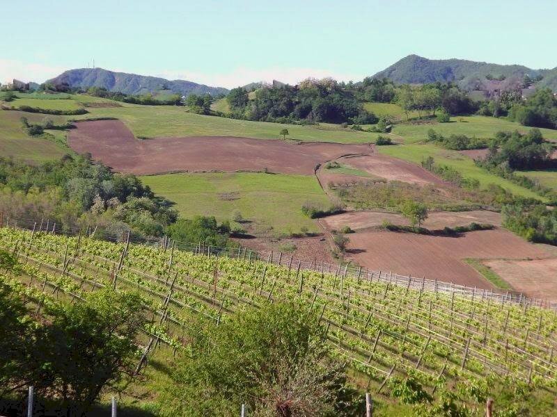 Vista - Agricultural land via Emilia, 54, Tortona - photo 1