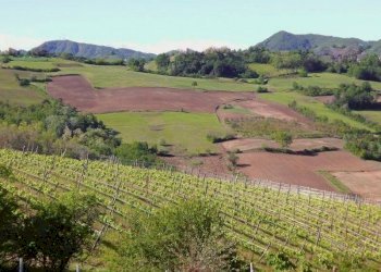 Vista - Terreno agricolo via Emilia, 54, Tortona - foto 1