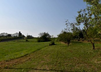 Terreno - Rustico via Convento, Montegrosso d'Asti - foto 12