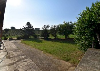 Terreno - Rustico via Convento, Montegrosso d'Asti - foto 16