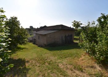 Terreno - Rustico via Convento, Montegrosso d'Asti - foto 21