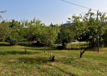 Terreno - Rustico via Convento, Montegrosso d'Asti - foto 27