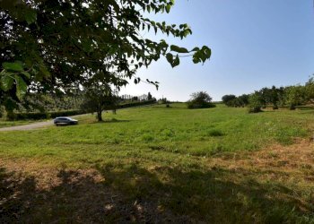 Terreno - Rustico via Convento, Montegrosso d'Asti - foto 9
