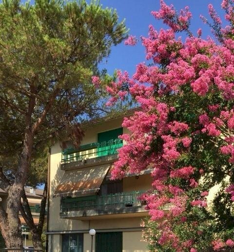 WhatsApp Image 2024-07-17 at 22.07.08.jpeg - Appartamento Massa - foto 1