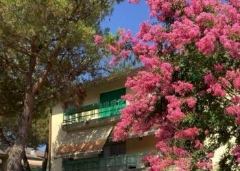 WhatsApp Image 2024-07-17 at 22.07.08.jpeg - Appartamento Massa - foto 1