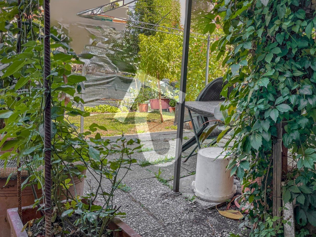 68619.jpg - Appartamento Jesi - foto 1