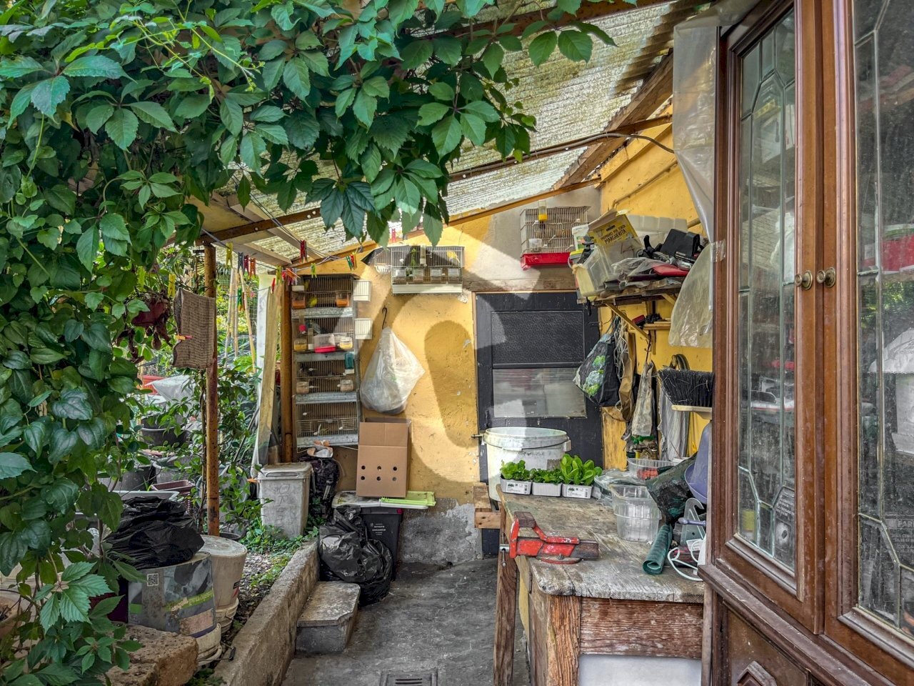 F4BD579F-6A34-4BB0-887E-A88D692A3526.jpeg - Appartamento Jesi - foto 3