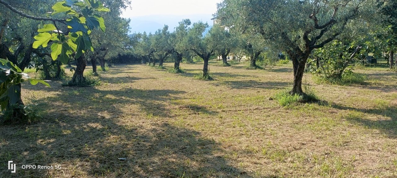 IMG20240715174231.jpg - Terreno edificabile Via degli Enotri, Lamezia Terme - foto 1