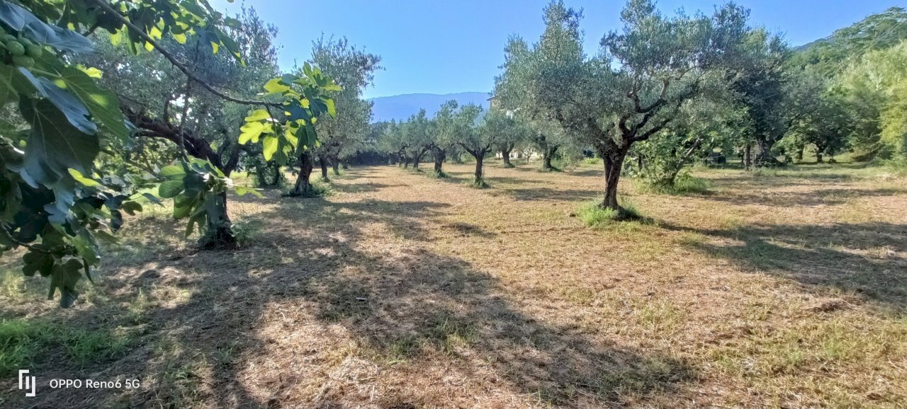 IMG20240715174234.jpg - Terreno edificabile Via degli Enotri, Lamezia Terme - foto 2