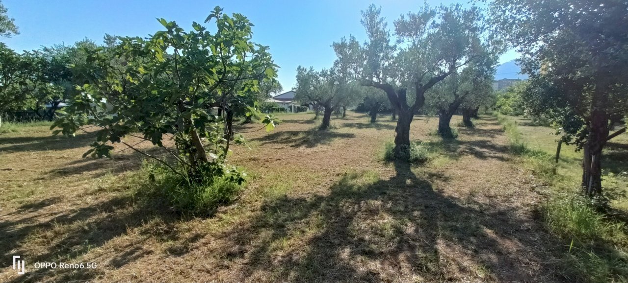 IMG20240715174255.jpg - Terreno edificabile Via degli Enotri, Lamezia Terme - foto 3