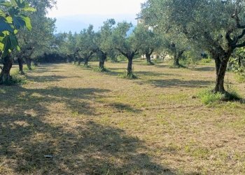 IMG20240715174231.jpg - Terreno edificabile Via degli Enotri, Lamezia Terme - foto 1