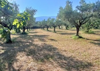 IMG20240715174234.jpg - Terreno edificabile Via degli Enotri, Lamezia Terme - foto 2