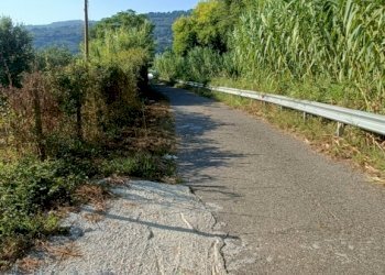 IMG20240715174325.jpg - Terreno edificabile Via degli Enotri, Lamezia Terme - foto 4