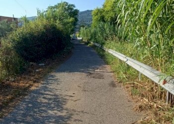 IMG20240715174338.jpg - Terreno edificabile Via degli Enotri, Lamezia Terme - foto 5