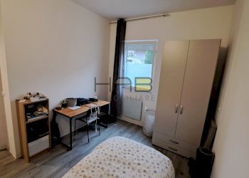 20231114_091719.jpg - Non-buildable land via maroncelli, Padova - photo 6