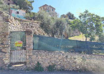 Terreno edificabile Via Degli Ulivi, snc., Palombara Sabina - foto 3