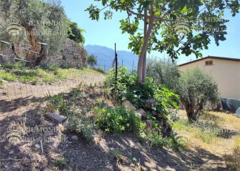 Terreno edificabile Via Degli Ulivi, snc., Palombara Sabina - foto 6