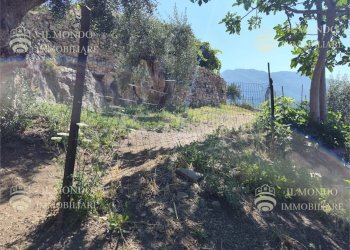 Terreno edificabile Via Degli Ulivi, snc., Palombara Sabina - foto 7