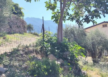 Terreno edificabile Via Degli Ulivi, snc., Palombara Sabina - foto 8