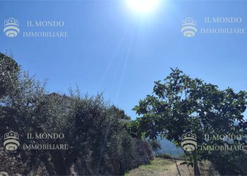 Terreno edificabile Via Degli Ulivi, snc., Palombara Sabina - foto 13