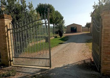 Rustico via valle memoria, Recanati - foto 15