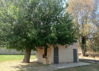 Rustico via valle memoria, Recanati - foto 19