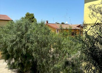 esposizione - Appartamento Via Alcide De Gasperi 4, Sannicandro di Bari - foto 11