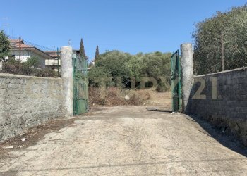 1721243301991.jpg - Terreno agricolo CONTRADA RACCOMANDATA, Misterbianco - foto 2
