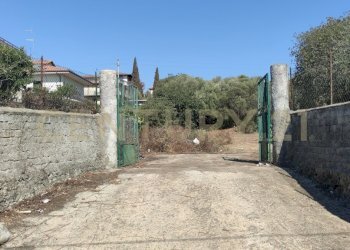 1721243301985.jpg - Terreno agricolo CONTRADA RACCOMANDATA, Misterbianco - foto 3