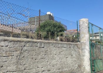 1721243301996 (1).jpg - Terreno agricolo CONTRADA RACCOMANDATA, Misterbianco - foto 4