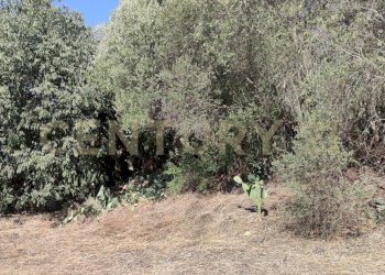 1721243839345.jpg - Terreno agricolo CONTRADA RACCOMANDATA, Misterbianco - foto 7