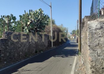 1721244216429.jpg - Terreno agricolo CONTRADA RACCOMANDATA, Misterbianco - foto 14